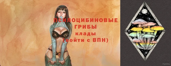 наркотики Бородино