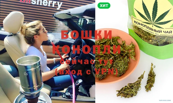 мдпв Богородицк